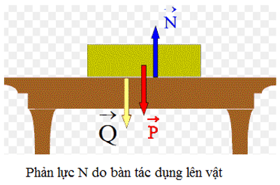 Lực đàn hồi xuất hiện khi nào? Có những loại lực đàn hồi nào