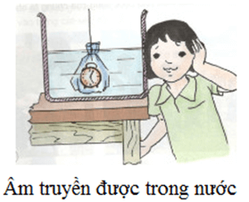 Môi trường nào truyền được âm? Lấy ví dụ về các môi trường truyền âm