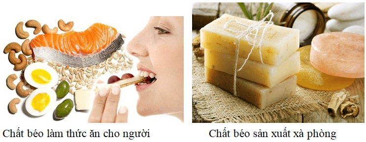 Nêu các ứng dụng của chất béo