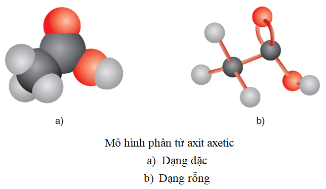 Nêu cấu tạo phân tử axit axetic