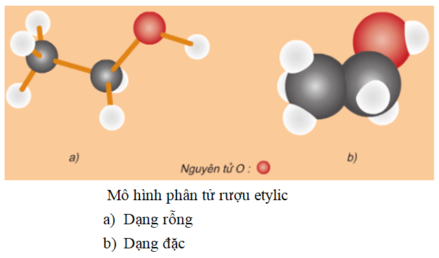 Nêu cấu tạo phân tử của rượu etylic