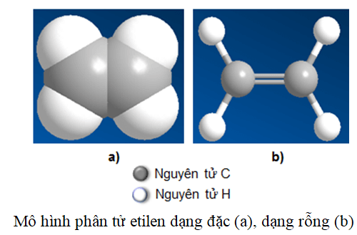 Nêu cấu tạo phân tử etilen