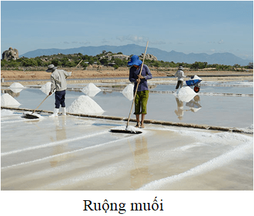 Nêu phương pháp khai thác muối NaCl