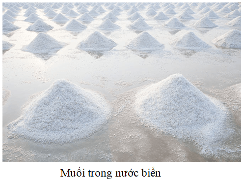 Nêu trạng thái tự nhiên của natri clorua (NaCl)