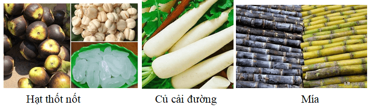 Nêu trạng thái tự nhiên của saccarozơ