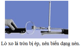 Những sự biến dạng của vật do chịu tác dụng lực là những loại nào? Lấy ví dụ minh họa cho mỗi loại