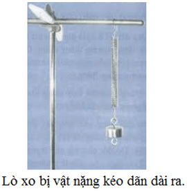 Những sự biến dạng của vật do chịu tác dụng lực là những loại nào? Lấy ví dụ minh họa cho mỗi loại