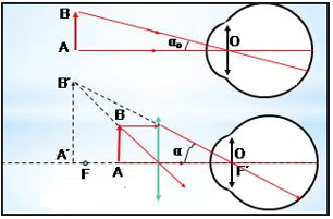 Số bội giác là gì