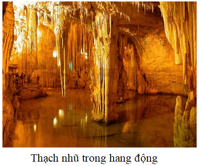 Thạch nhũ trong hang động được tạo thành như thế nào