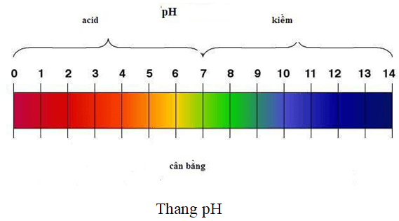 Thang pH của dung dịch cho biết điều gì