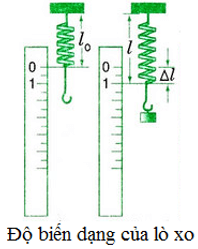 Thế nào là độ biến dạng của lò xo? Kí hiệu độ biến dạng lò xo như thế nào