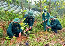 Trình bày các nguyên nhân dẫn đến suy giảm tầng ozon và cách khắc phục