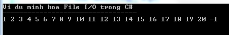 File I/O trong C#