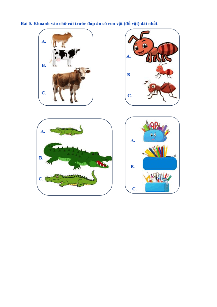 Bài tập hàng ngày Toán lớp 1 Bài 25: Dài hơn, ngắn hơn | Kết nối tri thức