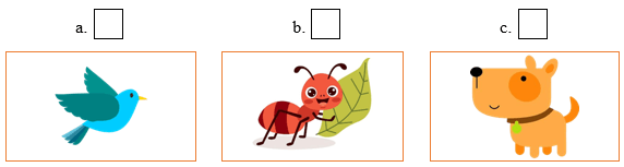 Đề cương ôn tập Học kì 1 Tiếng Anh lớp 1 iLearn Smart Start (có lời giải)