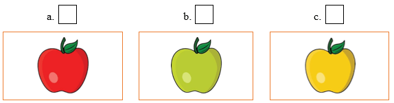 Đề cương ôn tập Học kì 1 Tiếng Anh lớp 1 iLearn Smart Start (có lời giải)