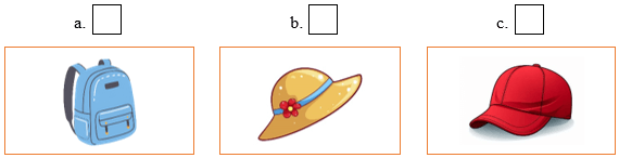 Đề cương ôn tập Học kì 1 Tiếng Anh lớp 1 iLearn Smart Start (có lời giải)