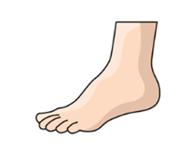 Đề cương ôn tập Học kì 2 Tiếng Anh lớp 1 Global Success (có lời giải)