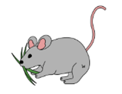 Đề cương ôn tập Học kì 2 Tiếng Anh lớp 1 Global Success (có lời giải)