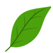 Đề cương ôn tập Học kì 2 Tiếng Anh lớp 1 Global Success (có lời giải)