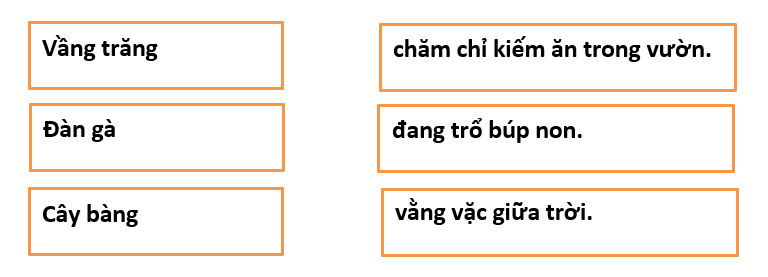 5 Đề thi Giữa học kì 2 Tiếng Việt lớp 1 Kết nối tri thức năm 2024 (có đáp án)