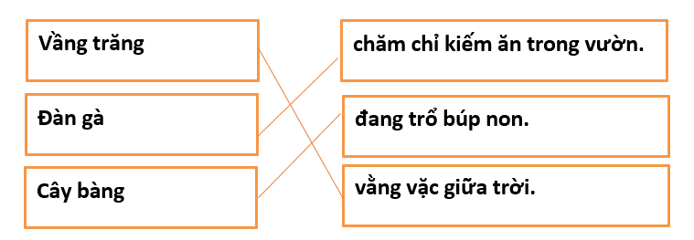 5 Đề thi Giữa học kì 2 Tiếng Việt lớp 1 Kết nối tri thức năm 2024 (có đáp án)