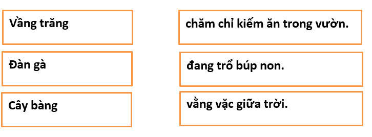 5 Đề thi Giữa học kì 2 Tiếng Việt lớp 1 Kết nối tri thức năm 2024 (có đáp án)