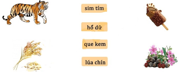 10 Đề thi Cuối Học kì 1 Tiếng Việt lớp 1 Kết nối tri thức năm 2024 Thông tư 27