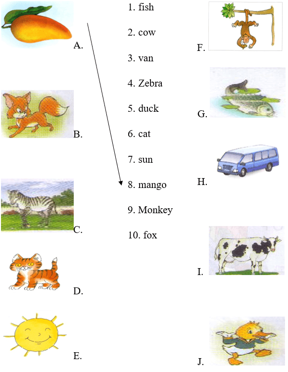 Đề thi môn Tiếng Anh lớp 1 Học kì 2 có đáp án (Đề 3)