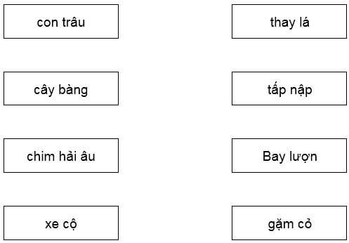 Bộ 24 Đề thi Tiếng Việt lớp 1 Giữa học kì 1 năm 2024 tải nhiều nhất