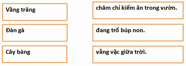 Bộ Đề thi Tiếng Việt lớp 1 Giữa kì 2 Kết nối tri thức năm 2024 tải nhiều nhất