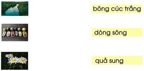 10 Đề thi Cuối Học kì 1 Tiếng Việt lớp 1 Cánh diều năm 2024 (có đáp án)