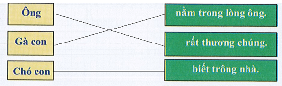 Đề thi Tiếng Việt lớp 1 Học kì 1 năm 2024 có đáp án (20 đề)