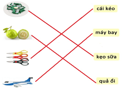 10 Đề thi Tiếng Việt lớp 1 Học kì 1 Chân trời sáng tạo năm 2024 (có đáp án)