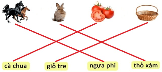 10 Đề thi Cuối Học kì 1 Tiếng Việt lớp 1 Kết nối tri thức năm 2024 (có đáp án)