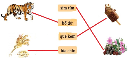 10 Đề thi Cuối Học kì 1 Tiếng Việt lớp 1 Kết nối tri thức năm 2024 (có đáp án)