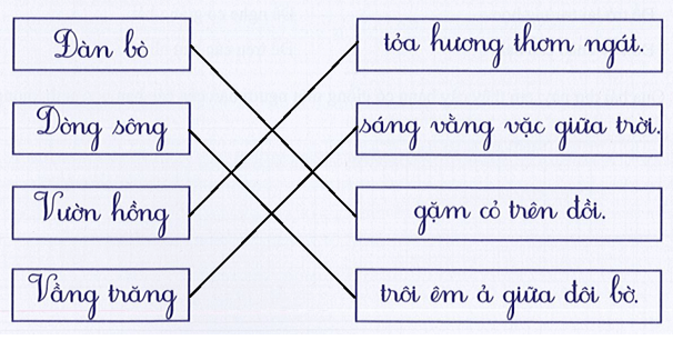 Đề thi Tiếng Việt lớp 1 Học kì 2 năm 2024 có đáp án (15 đề)