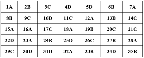 Đề thi Giữa kì 2 Tiếng Anh 10 mới có đáp án (Đề 1)