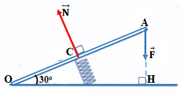 Đề thi Giữa kì 1 Vật Lí 10 có đáp án (Đề 2)