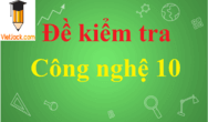 Đề thi Công nghệ 10 có đáp án