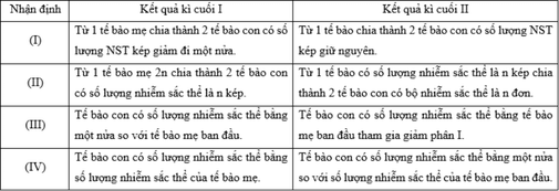 Đề thi Giữa kì 2 Sinh học 10 năm 2024 có ma trận (8 đề)