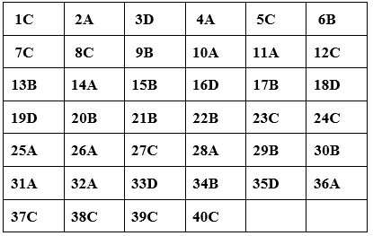 Đề thi Tiếng Anh 10 mới Học kì 1 có đáp án (Đề 3)