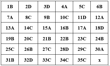 Đề thi Tiếng Anh 10 mới Học kì 2 có đáp án (Đề 3)