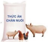 3 Đề thi Giữa kì 1 Công nghệ 10 Cánh diều (có đáp án) - Công nghệ trồng trọt