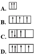 Đề thi Giữa kì 1 Hóa học 10 Cánh Diều có đáp án (4 đề)