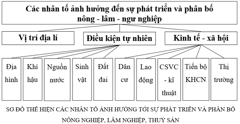 3 Đề thi Giữa kì 2 Địa Lí 10 Chân trời sáng tạo (có đáp án)