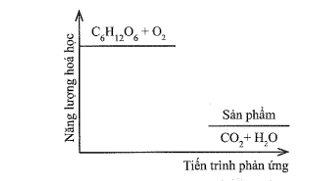 3 Đề thi Giữa kì 2 Hóa học 10 Cánh Diều năm 2024 (có đáp án)