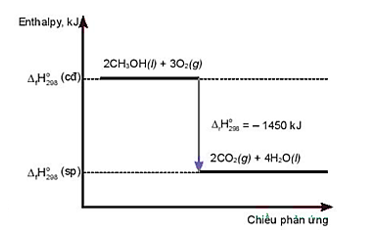 3 Đề thi Giữa kì 2 Hóa học 10 Chân trời sáng tạo năm 2024 (có đáp án)