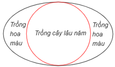 10 Đề thi Giữa kì 2 Toán 10 Chân trời sáng tạo (có đáp án)