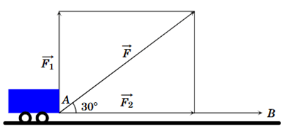 23 Đề thi Cuối kì 1 Toán 10 Cánh diều (có đáp án)